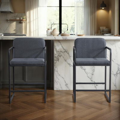 Latitude Run 2Pcs Counter Height Bar Stools with Armrests and Padded Seat for Home Bar