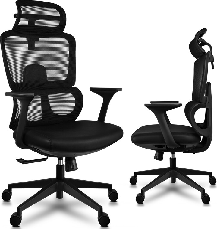 2xhome Ergonomic Office Chair with Lumbar Support, Adjustable Executive
