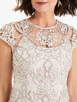 Thumbnail for your product : Phase Eight Frances Lace Dress, Latte/Oyster
