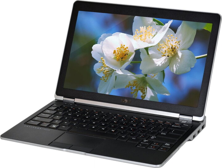 Pre-Owned Dell Latitude E6230 - Core i5 3320M / 2.6 GHz - Win 10 Pro 64-bit - HD Graphics 4000 - 4 GB RAM - 320 GB HDD - DVD - 12.5" 1366 x 768 (HD) - black - Used