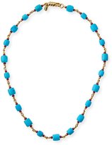 Thumbnail for your product : Paul Morelli Turquoise Barrel Bead Necklace with Rubies