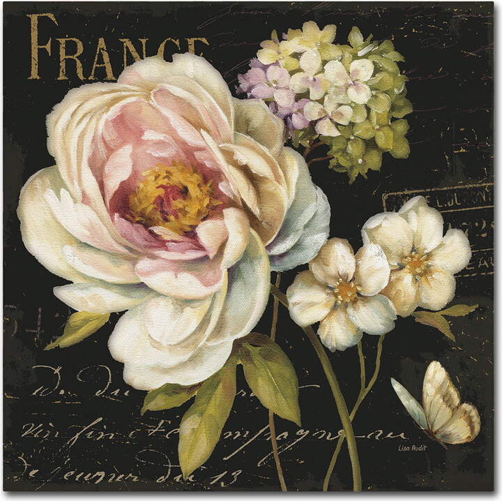 Trademark Fine Art Lisa Audit Marche de Fleurs on Black Canvas Wall Art - 14x14