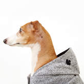 Thumbnail for your product : Roots Pooch Salt and Pepper Hoody Size 14