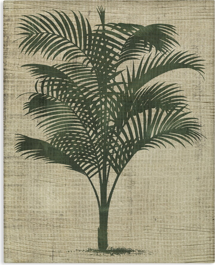 Stupell Industries Vintage Palm Plant Plants & Flowers Painting Wrapped Canvas Art Print Wall Art, 36 x 48