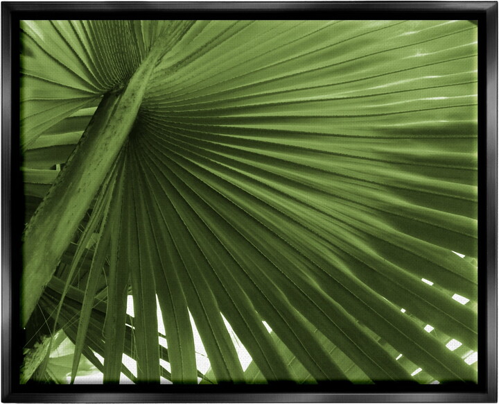 Stupell Industries Close Up Palm Leaf Lush Green Tropical Plant Photograph Jet Black Floating Framed Canvas Print Wall Art, Design by Graffitee Studios