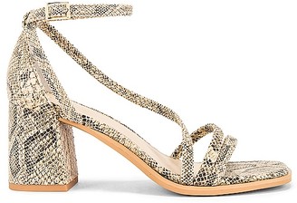 seychelles kids shoes