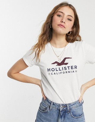 hollister t shirts women's