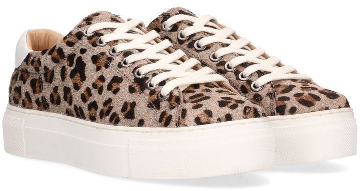 maruti leopard trainers
