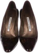Thumbnail for your product : Manolo Blahnik Printed Patent Leather Pumps