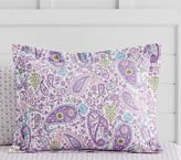 Thumbnail for your product : Pottery Barn Kids Standard Sham