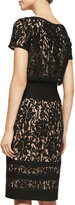 Thumbnail for your product : Tadashi Shoji Lace-Overlay Cocktail Dress W/ Banded Waist