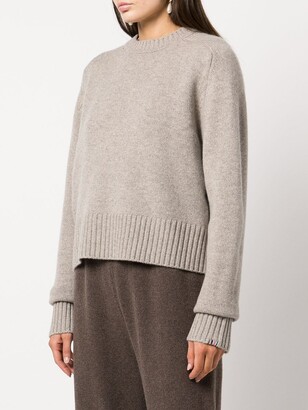 Extreme Cashmere Crew Neck Knitted Jumper