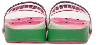 Puma Pink/white/green Leadcat Candy Princess Sandal