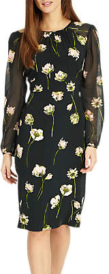 Phase Eight Sorina Printed Floral Dress, Peacock