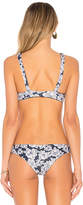 Thumbnail for your product : Acacia Swimwear Spain Bikini Top