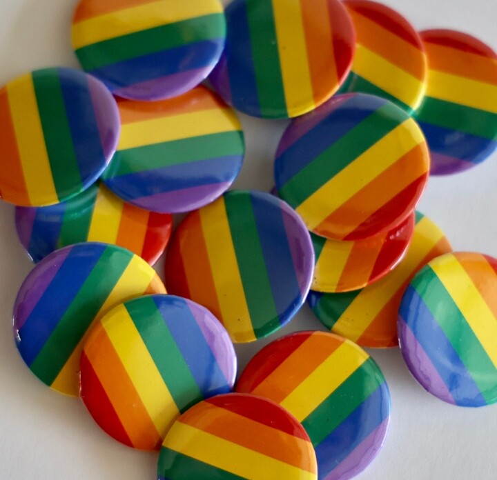 Pride Flag Buttons | 1 Set/12 Buttons