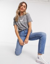Thumbnail for your product : Hollister short sleeve logo tshirt in gray