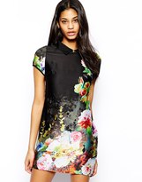 Thumbnail for your product : True Decadence Sheer Organza Shift Dress with Collar