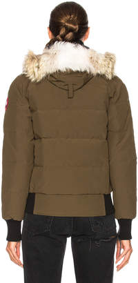 Canada Goose Savona Bomber With Coyote Fur in Military Green | FWRD