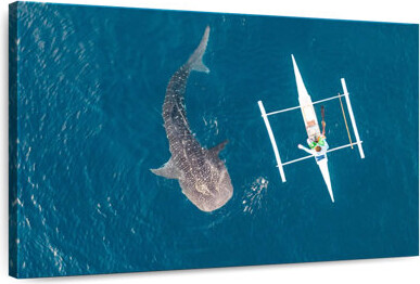Ebern Designs Brampt Oslob Whale Shark
