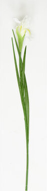 Worth Imports 25" Artificial Iris Flower Spray