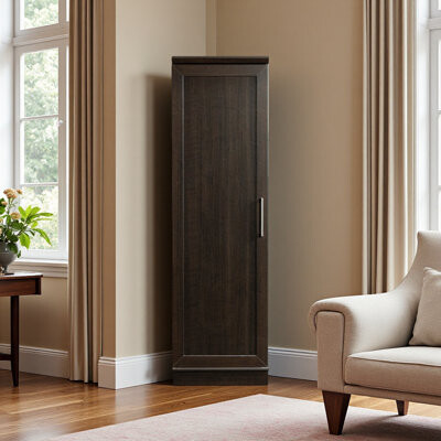 Latitude Run Corner Storage Cabinet