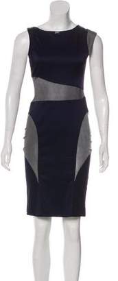 VPL Sleeveless Knee-Length Dress