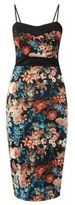 Thumbnail for your product : New Look Cameo Rose Black Floral Print Bodycon Midi Dress