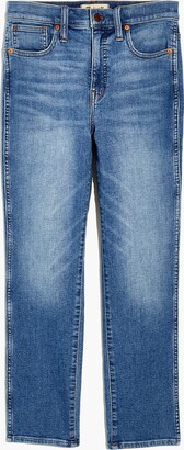 Madewell Plus Stovepipe Jeans in Euclid Wash