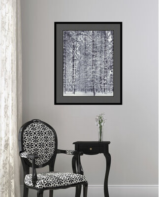 Vault W Artwork 'Pine Forest in the Snow, Yosemite National Park' by Ansel Adams - Picture Frame Photographic