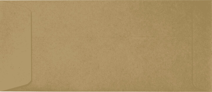 LUXPaper #10 Open End Envelopes, 4 1/8 x 9 1/2, Grocery Bag, 50/Pack