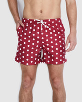 Thumbnail for your product : Maroon Polka Dots Swim Shorts