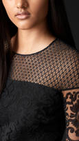 Thumbnail for your product : Burberry Contrast Embroidered Lace Dress