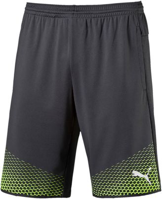 Puma EvoTRG Touch Shorts
