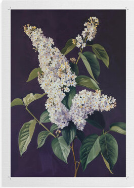 Darby Home Co FLORAL Series CCXXXIII -Canvas Print Only - NOT FRAMED