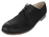 Thumbnail for your product : Dolce & Gabbana Perforated Suede Derby Shoes Perforated Suede Derby Shoes
