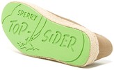 Thumbnail for your product : Sperry Drifter Espadrille Sneaker