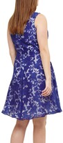 Thumbnail for your product : Studio 8 Kew Sleeveless Dress, Cobalt/Ivory
