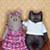 Thumbnail for your product : Mr and Mrs Kitty Set of 2