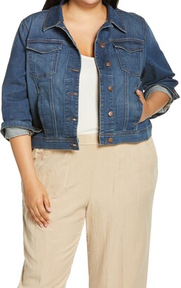 eileen fisher plus size jackets