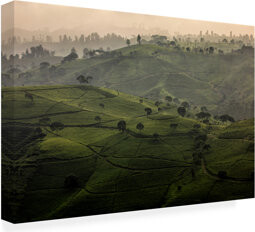 Trademark Fine Art Gunarto Song Tea Time Canvas Art