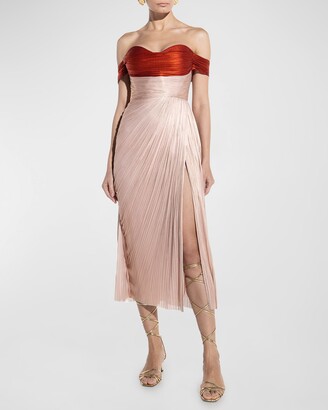 Maria Lucia Hohan Maisie Iridescent Plisse Lace-Up Gown