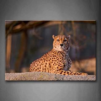 First Wall Art Cheetah Sit On Big Stone Wall Art Painting Pictures Print On Canvas Animal The Picture For Home Modern Decoration