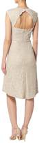 Thumbnail for your product : Eliza J Sequin lace shift dress