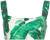 Thumbnail for your product : Dolce & Gabbana Palm Leaf Printed Bra Top