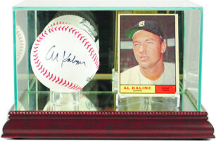 Perfect Cases and Frames 7'' x 5'' Glass Baseball Ball Display Case