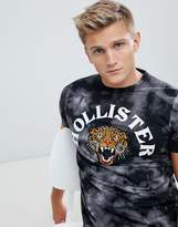 Thumbnail for your product : Hollister tiger logo acid wash t-shirt in black