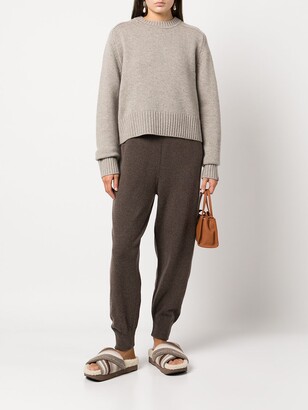 Extreme Cashmere Crew Neck Knitted Jumper