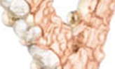 Thumbnail for your product : Alexis Bittar Essentials Crystal Encrusted Abstract Thorn Drop Earrings