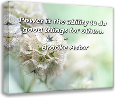 Astoria Grand Gallery Wrapped Canvas By Brooke Astor: \